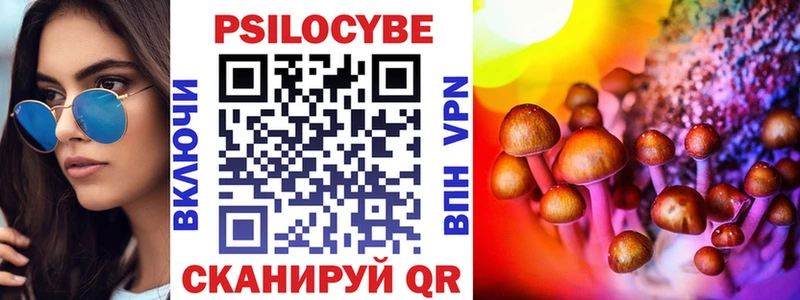 Галлюциногенные грибы Cubensis  купить наркотики сайты  Адыгейск 